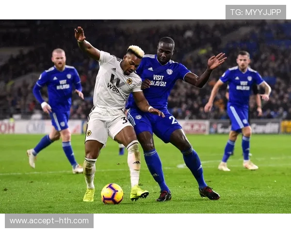 卡迪夫城俱乐部历史发展与未来展望：从英超到挑战新高峰的转型之路